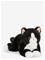 Teddy Hermann Cat Black 30 Cm - Black - ONE SIZE – kuva 2