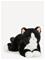 Teddy Hermann Cat Black 30 Cm - Black - ONE SIZE – kuva 3