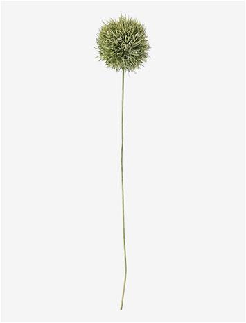 Bloomingville Allium