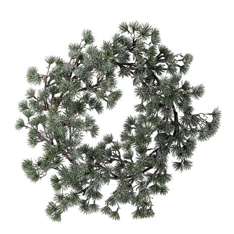 Bloomingville Cedar