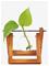 WINKEE Hydro Vases Lilly - BROWN - H8 cm – kuva 2