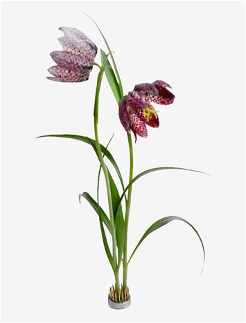 Hein Studio Kenzan maljakko ä˜2,3 cm