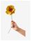 STUDIO ABOUT Paper Flower - OCHRE - One Size – kuva 2