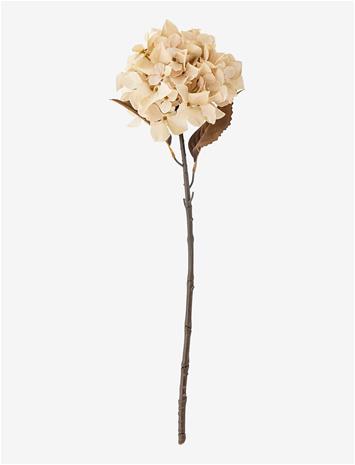 Bloomingville Hydrangea Stem - Cream - H65CM
