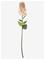 BLOOMINGVILLE Hydrangea Stem - RED - H95 cm – kuva 2