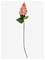 BLOOMINGVILLE Hydrangea Stem - RED - H76 cm – kuva 2