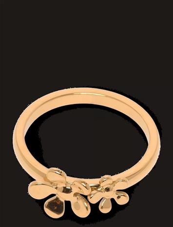 Sistie Celeste - Gold - 52
