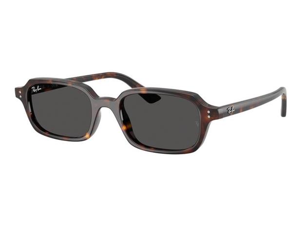 Ray-Ban RB 4455 135987, Aurinkolasit