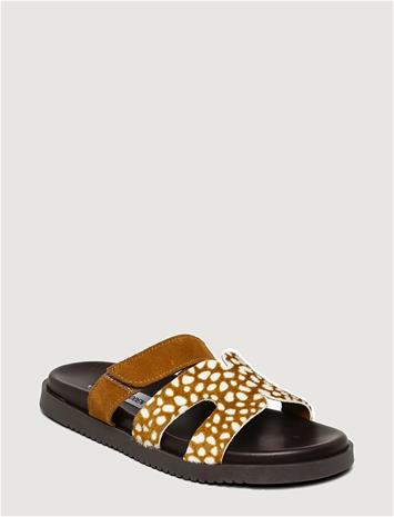 Steve Madden Missile-A - Multi/patterned - 41