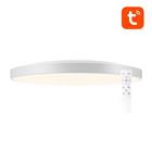 Älykäs kattovalaisin 32 cm, WiFi/Bluetooth, 16M RGBCW, Gosund LB11, 1920 lm, Tuya + kaukosäädin. / Valaisin / LED