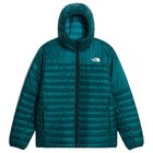 The North Face M Terra Peak Hoodie Pacific Teal/Restorativ - M