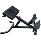 Master Fitness Black, Ryggbänk - Onesize