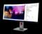 40" Lenovo ThinkVision P40WD-40 – kuva 7