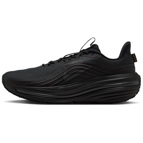 Nike Winflo 12 GORE-TEX
