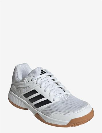 ADIIE8034_226814207