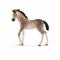 SCHLEICH Schleich Andalusian Foal - MULTI - One Size – kuva 3