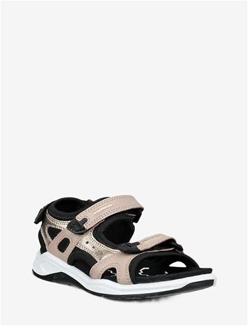 EC710642_230196718