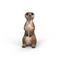 Schleich Meerkat – kuva 6
