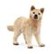 Schleich Wild Life Arctic Wolf Cub susi – kuva 8
