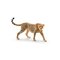 Schleich gepardinaaras – kuva 1