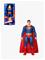DC Universe Basic Superman 30 cm – kuva 7