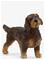 Schleich Wire-Haired Dachshund – kuva 7