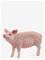 Schleich Sika – kuva 6