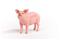 Schleich Sika – kuva 7