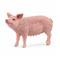 Schleich Sika – kuva 8