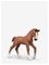 Schleich Collectible Foal Ruby – kuva 4