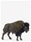 Schleich Wild Life Bison biisoni – kuva 8