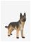 Schleich German Shepherd female – kuva 6
