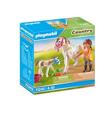 Playmobil leluhahmo 71243