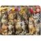 Educa Educa 500 Kittens And Birds - Multi/patterned - ONE SIZE – kuva 3