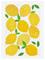 POSTER & FRAME Orara Studio - Lemon Crowd - YELLOW - 30X40 cm – kuva 2