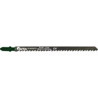 Fortis 4317784773034
