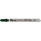 Fortis 4317784773072