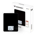 Wozinsky WIK-10