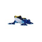 Mojo Wildlife Poison Dart Frog Blue