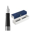 Waterman Impression Stainless Steel P.T. Fountain pen M Blue ink