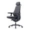 LiberNovo Maxis (Electric) - Graphite - BOX A (1/2 – kuva 1