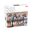 Tactic Lovers White horses on the beach