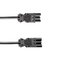 Bachmann 375.0053 – kuva 2