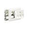 DeLOCK 86194 – kuva 1