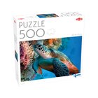Tactic Lovers Sea Turtle