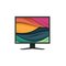 21" EIZO FlexScan S2134 - without stand - LED monitor – kuva 1