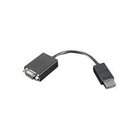 Lenovo DisplayPort-kaapeli - 20 cm