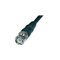ABUS BNC 2m TVAC40010 – kuva 1