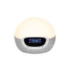 Lumie Bodyclock Shine 300 - Herätysvalo - FM Radio - Harmaa