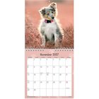 Mayland Vægkalender mini Hundehvalpe 2027